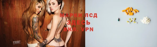 крисы Алзамай