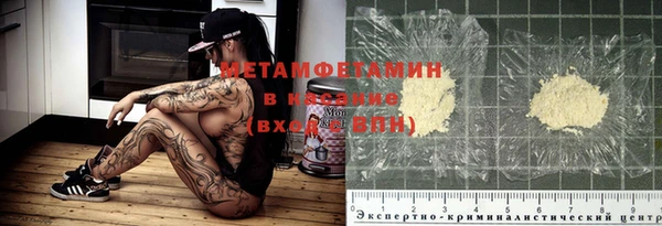 крисы Алзамай