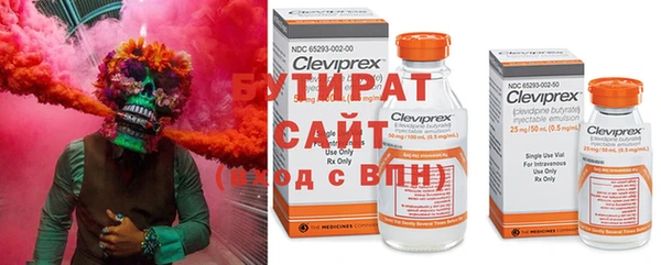 крисы Алзамай