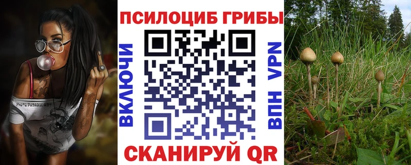 KRAKEN ТОР  Трёхгорный  Галлюциногенные грибы MAGIC MUSHROOMS 